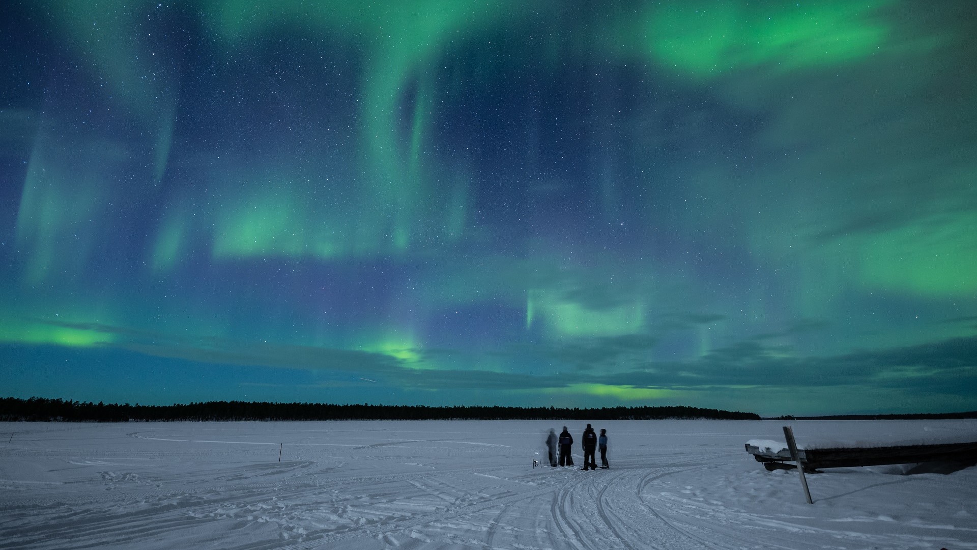 Arktis Tours - Winter Aktiv im Wilderness Hotel Inari - Banner