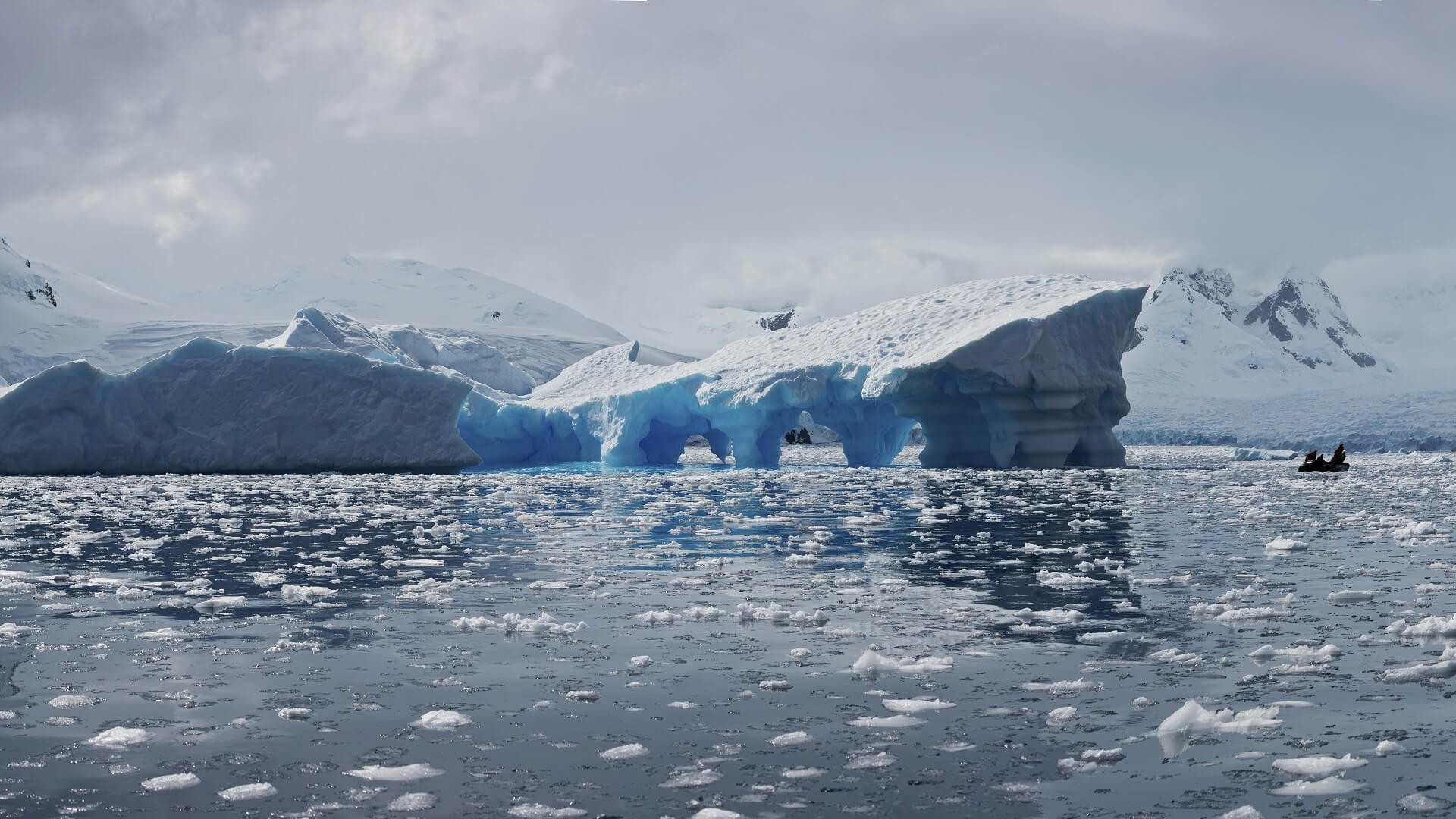 Arktis Tours - Auf Ernest Shackletons Spuren