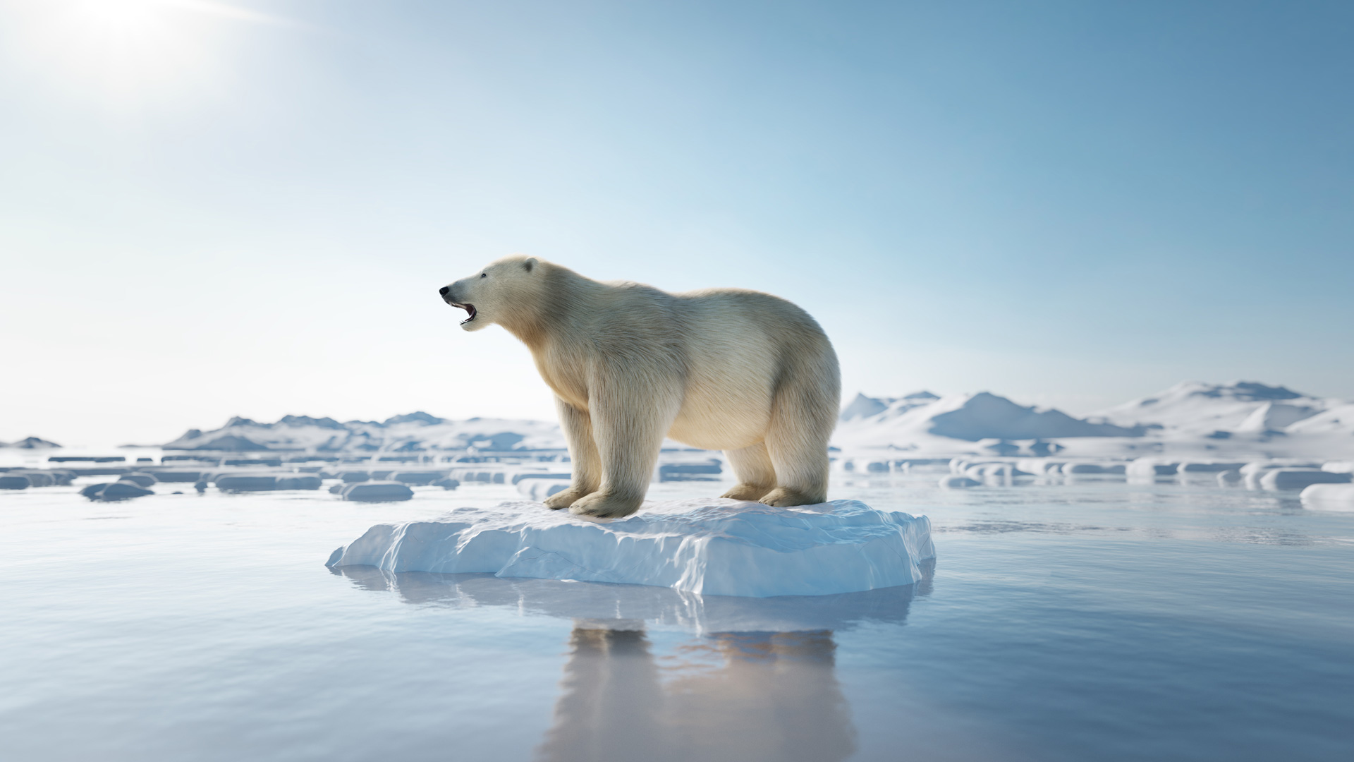 Arktis Tours - Wir haben noch Platz für Dich