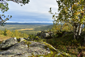 Finnland Reisen - Faszinierende Naturlandschaften