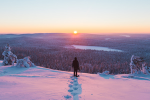 Arktis Tours - Finnland Reise Schneeschuhwandern
