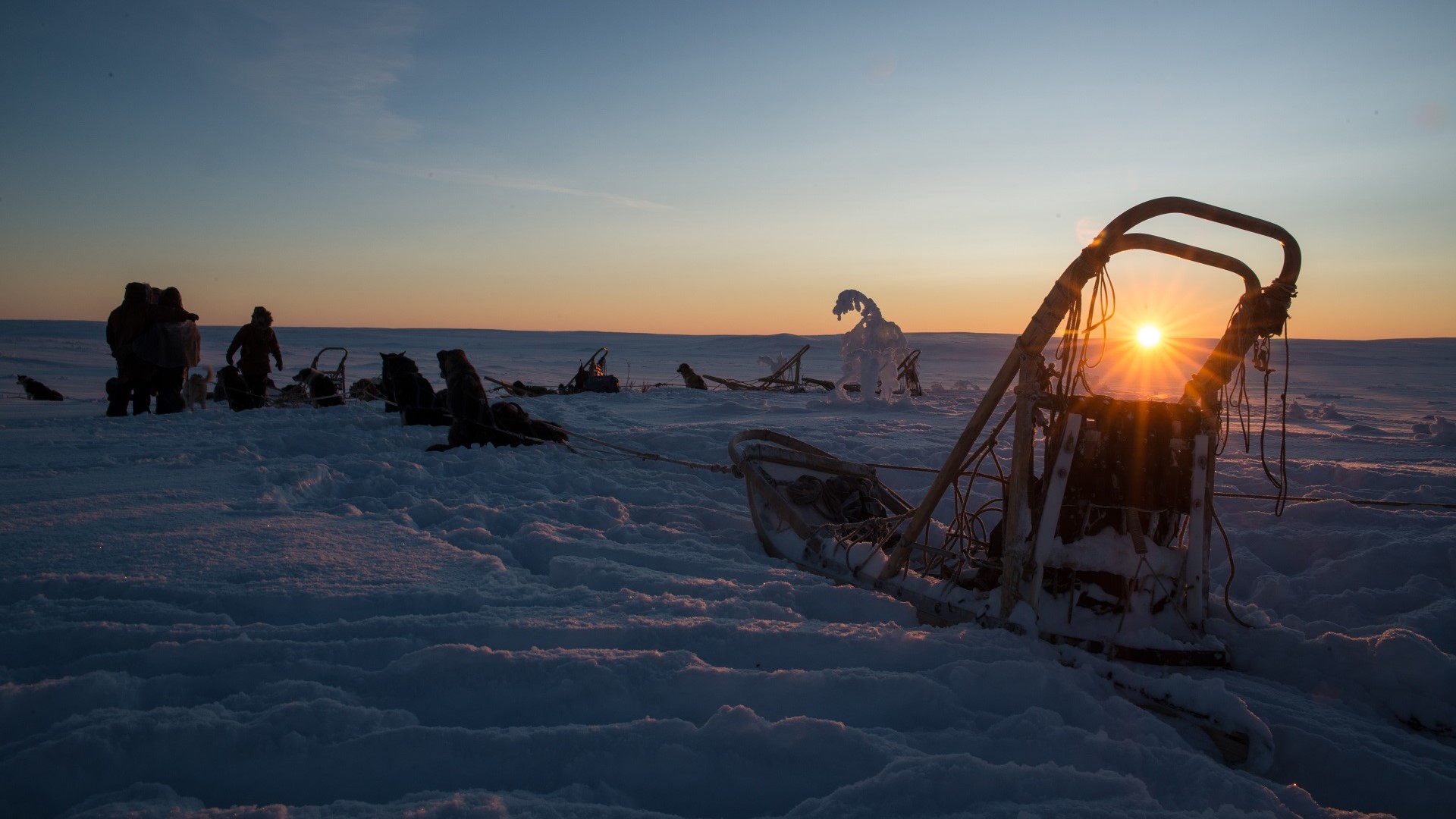 Arktis Tours Winter Abenteuer Woche mit Hundeschlitten und Rentieren