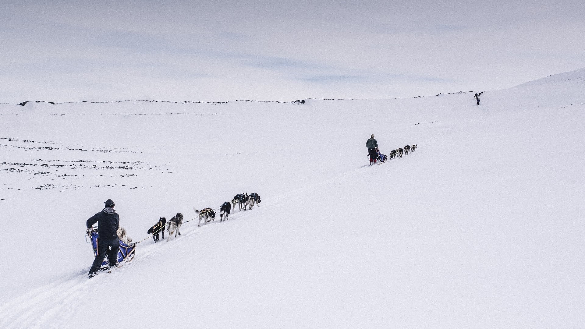 Arktis Tours Spektakuläre Landschaften und Huskies in Norwegen