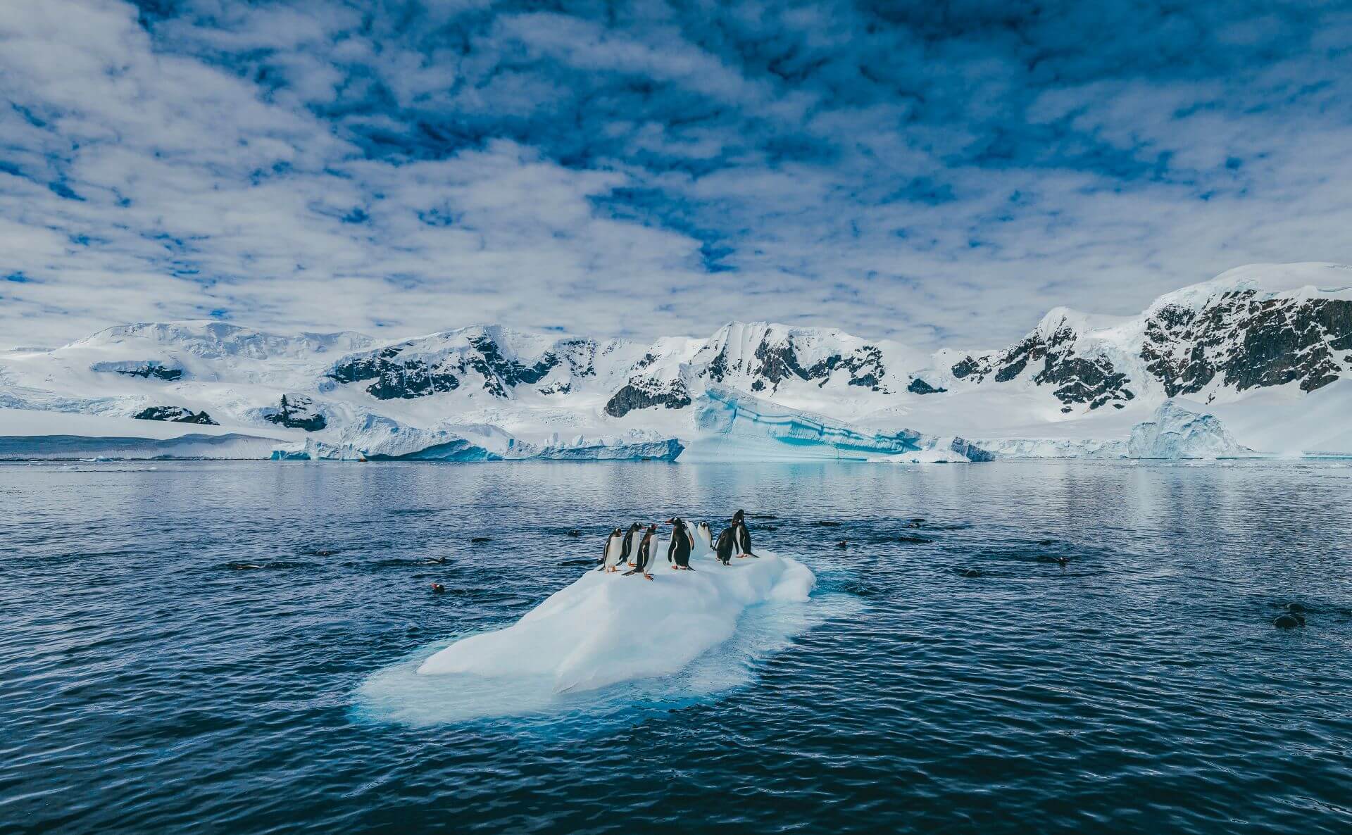 Arktis Tours, Quark Expeditions - Entdecke den 7. Kontinent