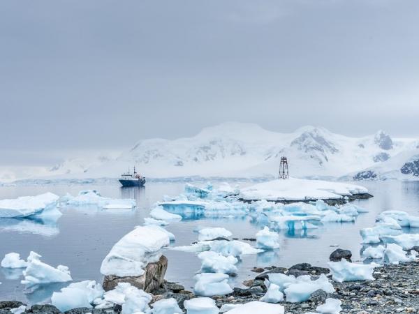 Arktis Tours - Reiseart Expedition & Seereisen