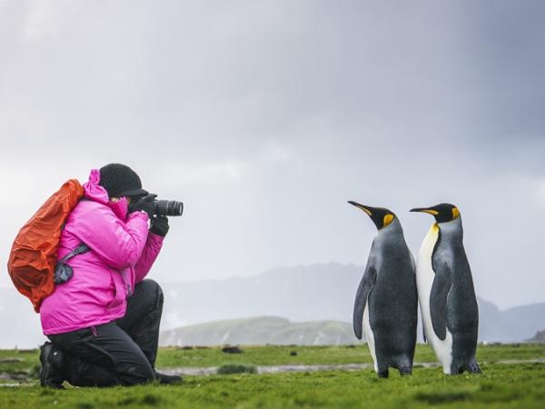 Arktis Tours, Oceanwide Expeditions, Falkland, Südgeorgien