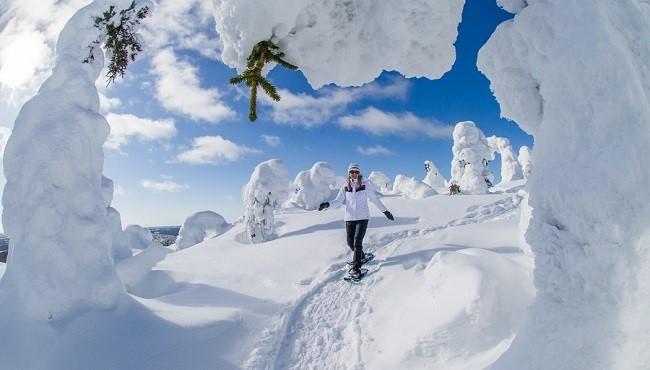 Arktis Tours - Winterwunderland Iso Syöte