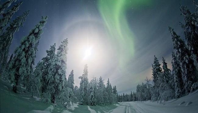 Arktis Tours - Winterzauber Lappland - Faszination Nordlicht