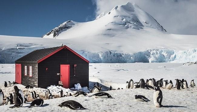 Arktis Tours –Antarktis Expedition mit Basecamp
