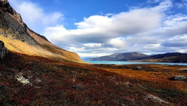 Arktis Tours - Leichte Wanderreise Südgrönland - Narsarsuaq