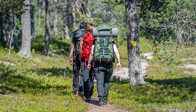 FI28 Nationalparks und Braunbären in Finnland - Wanderung auf dem Rytivaara Trail