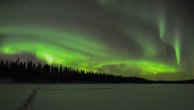 FI30 Fotoreise: Arktische Wölfe und Aurora Borealis: Polarlicht