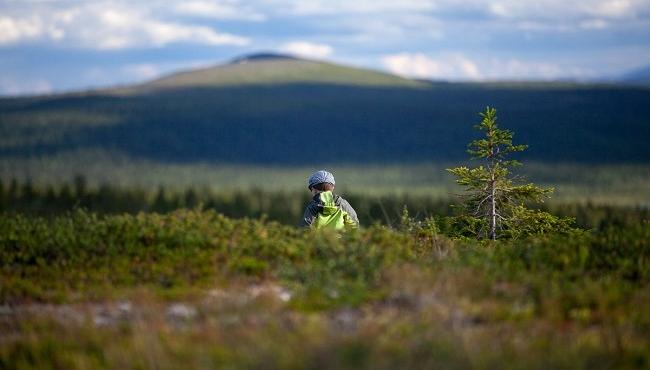 Arktis Tours - Natur pur - Sommerreise nach finnisch Lappland
