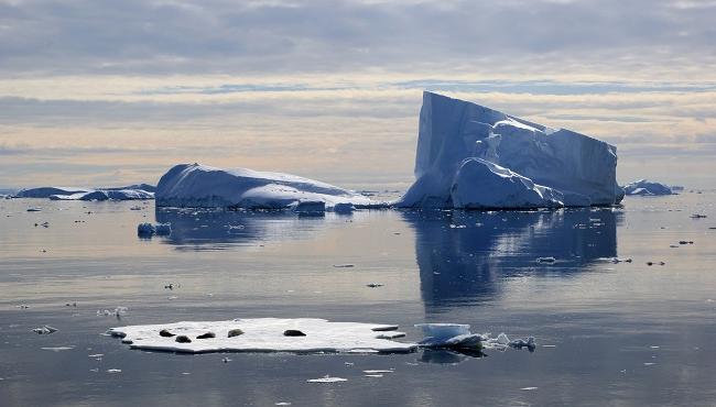 Arktis Tours - MS Hondius - Antarktis - Jenseits des Polarkreises - Crystal Sound