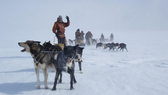 Arktis Tours Husky Tour auf dem Finnmark Plateau