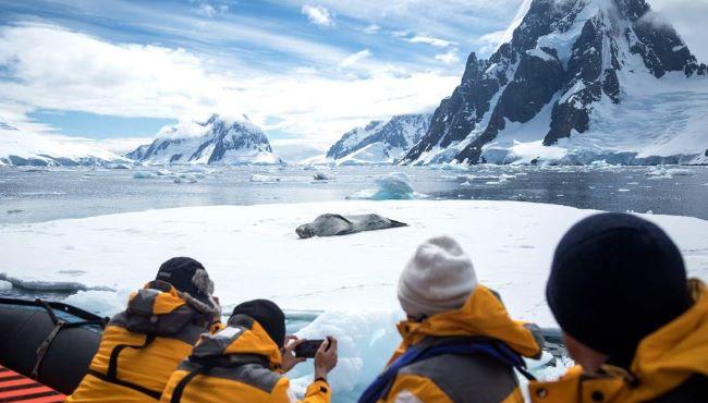 Arktis Tours, Quark Expedition - Seeleopard
