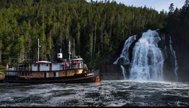 Arktis Tours, Maple Leaf Adventures, Great Bear Rainforest