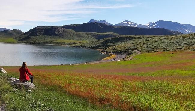 Arktis Tours Südgrönlands Kontraste entdecken - Itilleq